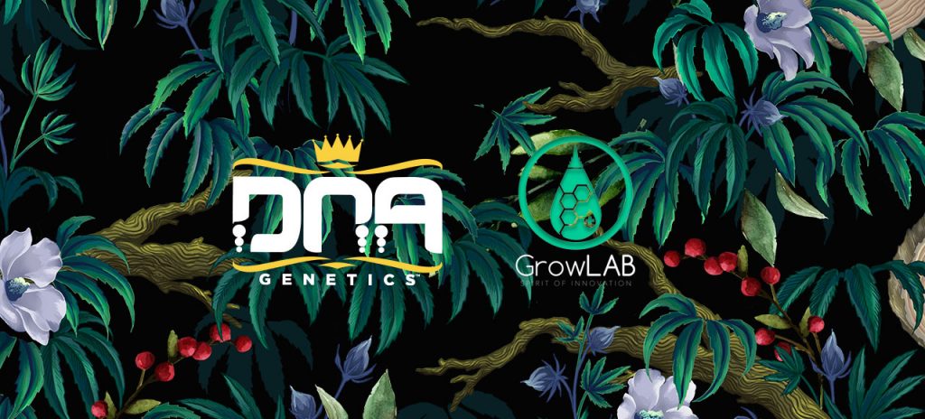 DNA Genetics Announces Strategic Alliance Agreement in Colombia With GrowLAB