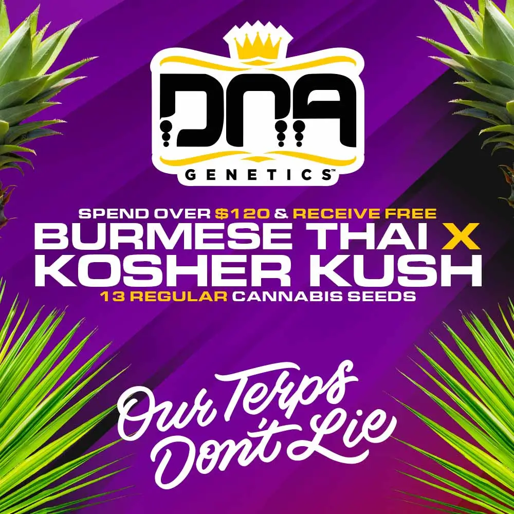DNA-Genetics-Free-Seeds-Box